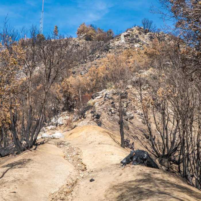 Near Mount Wilson via Mount Wilson Trail