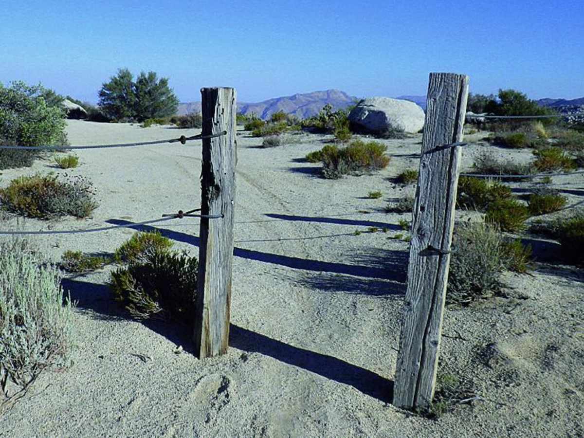 McCain Valley Road trail photo