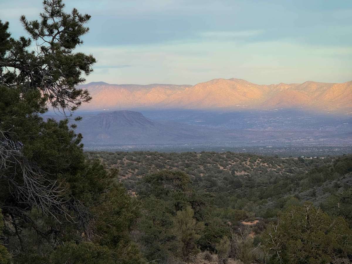 H1590 trail photo