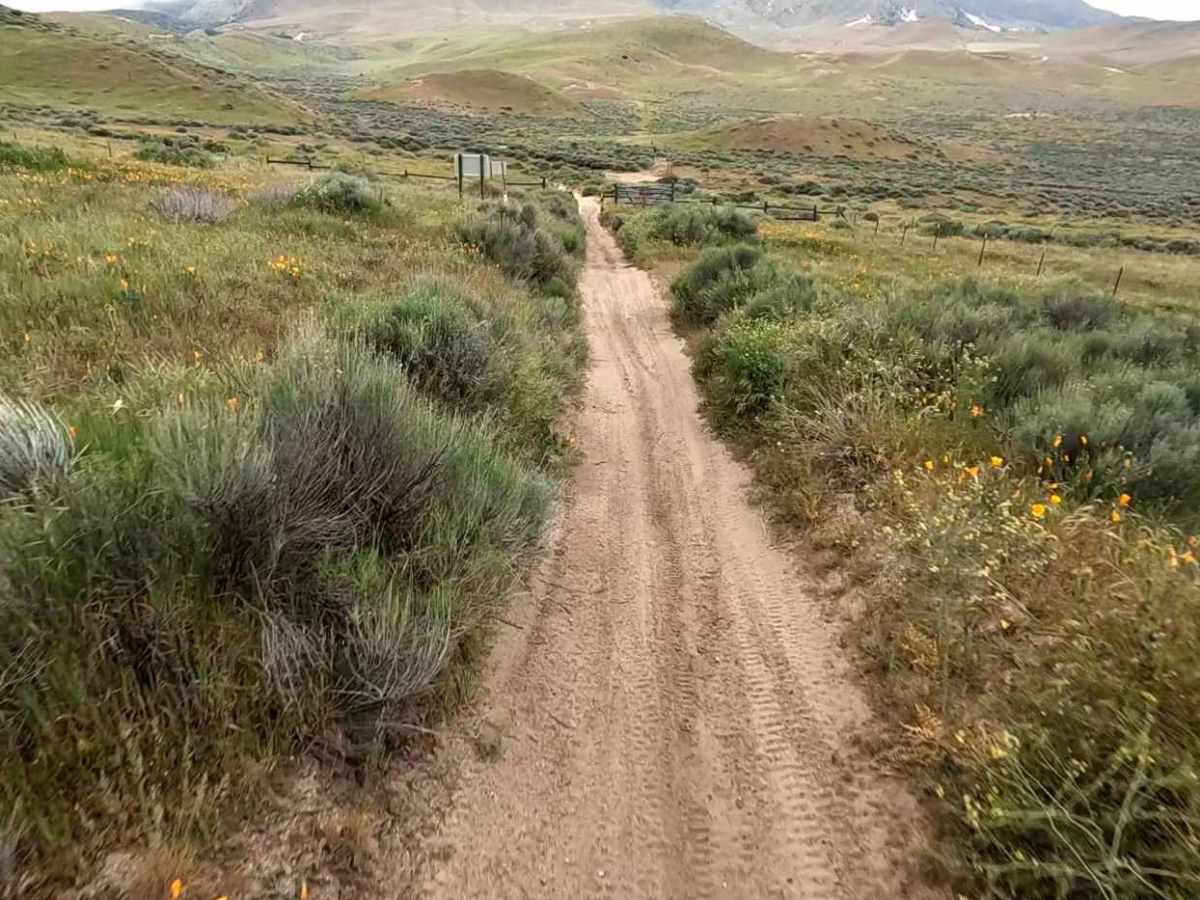 Brome Trail photo 6
