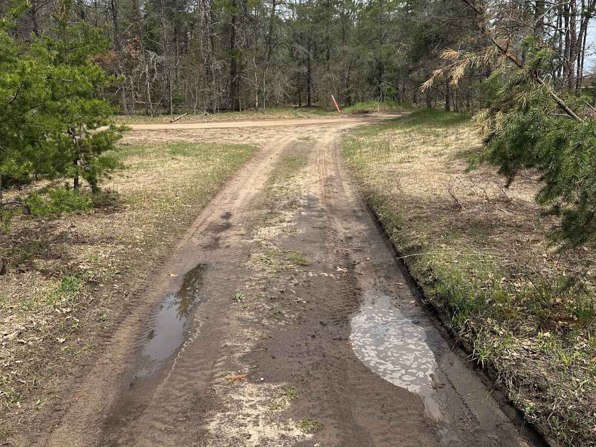 Manistee River Loop trail photo