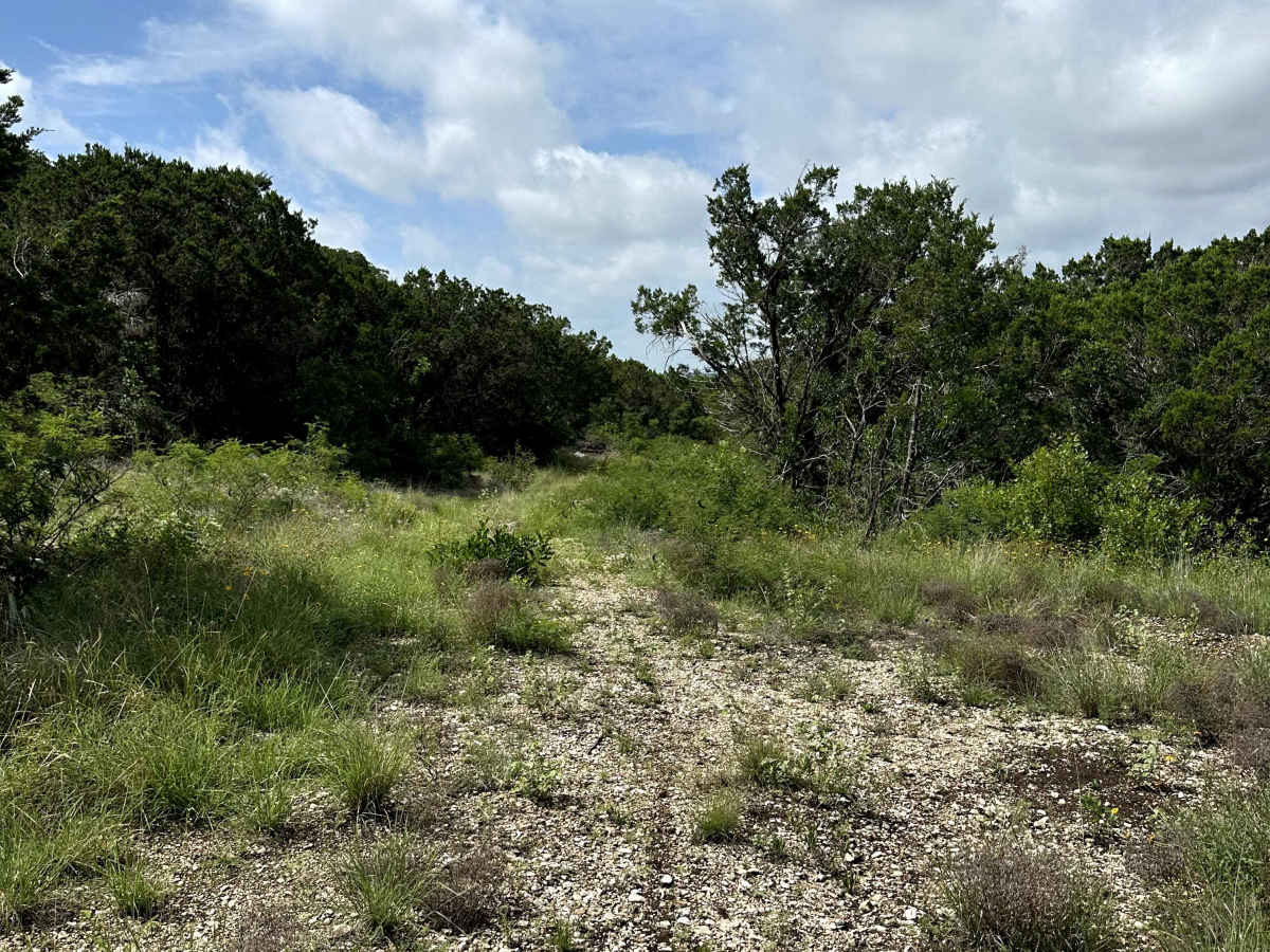 Flexed Out photo 4