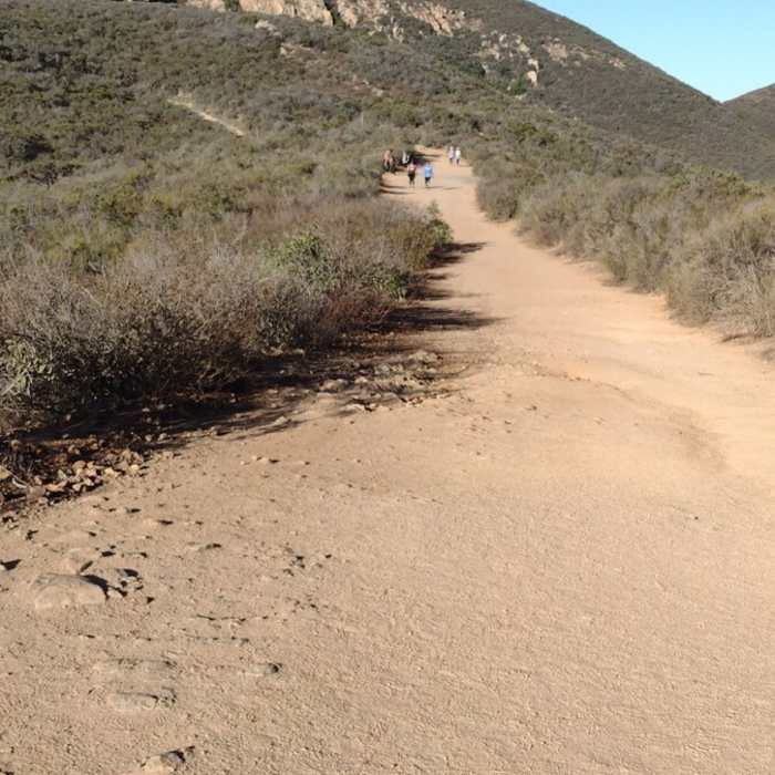 Near Cowles Service Road