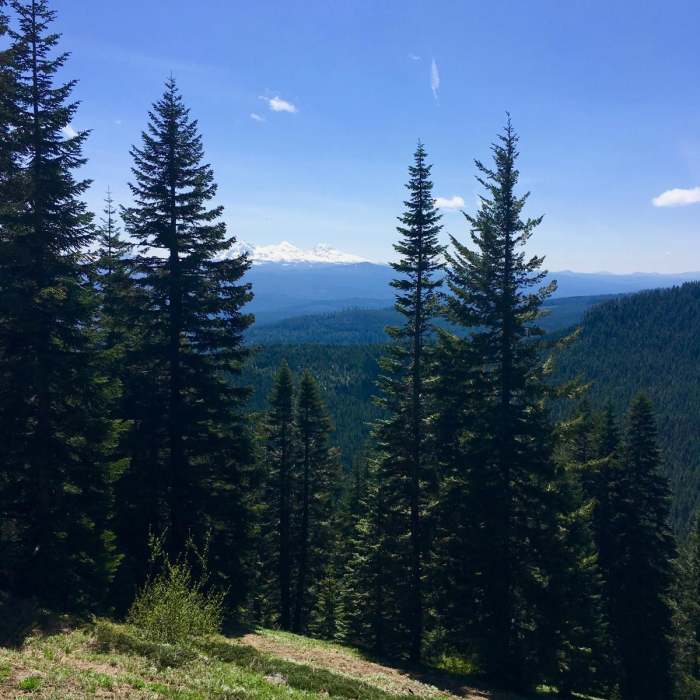 Near Crescent Mountain