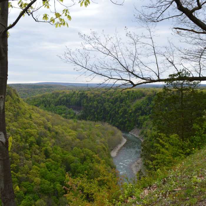 Near Letchworth West Gorge Trail Near Letchworth West Gorge Trail