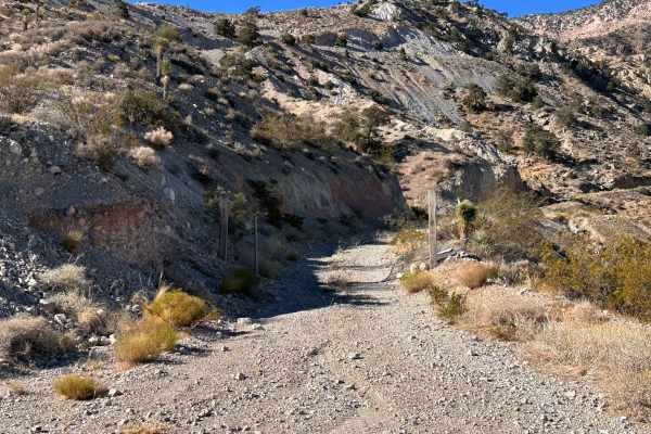 Cholla Pass