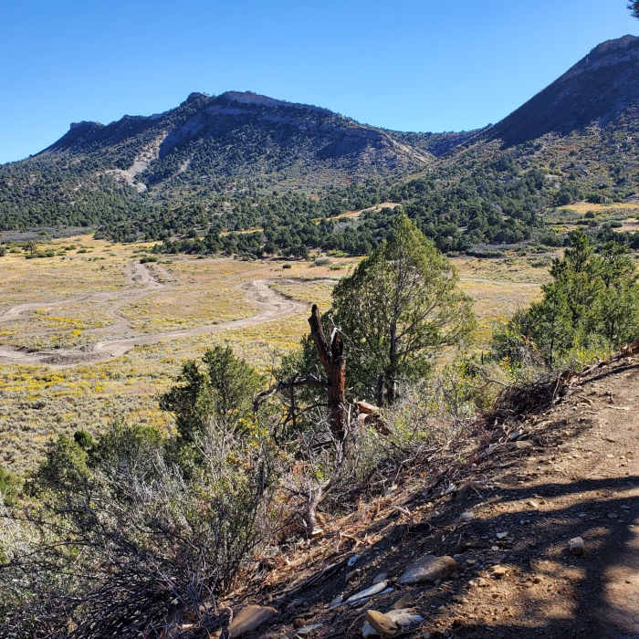Near Meadow Knob Connector