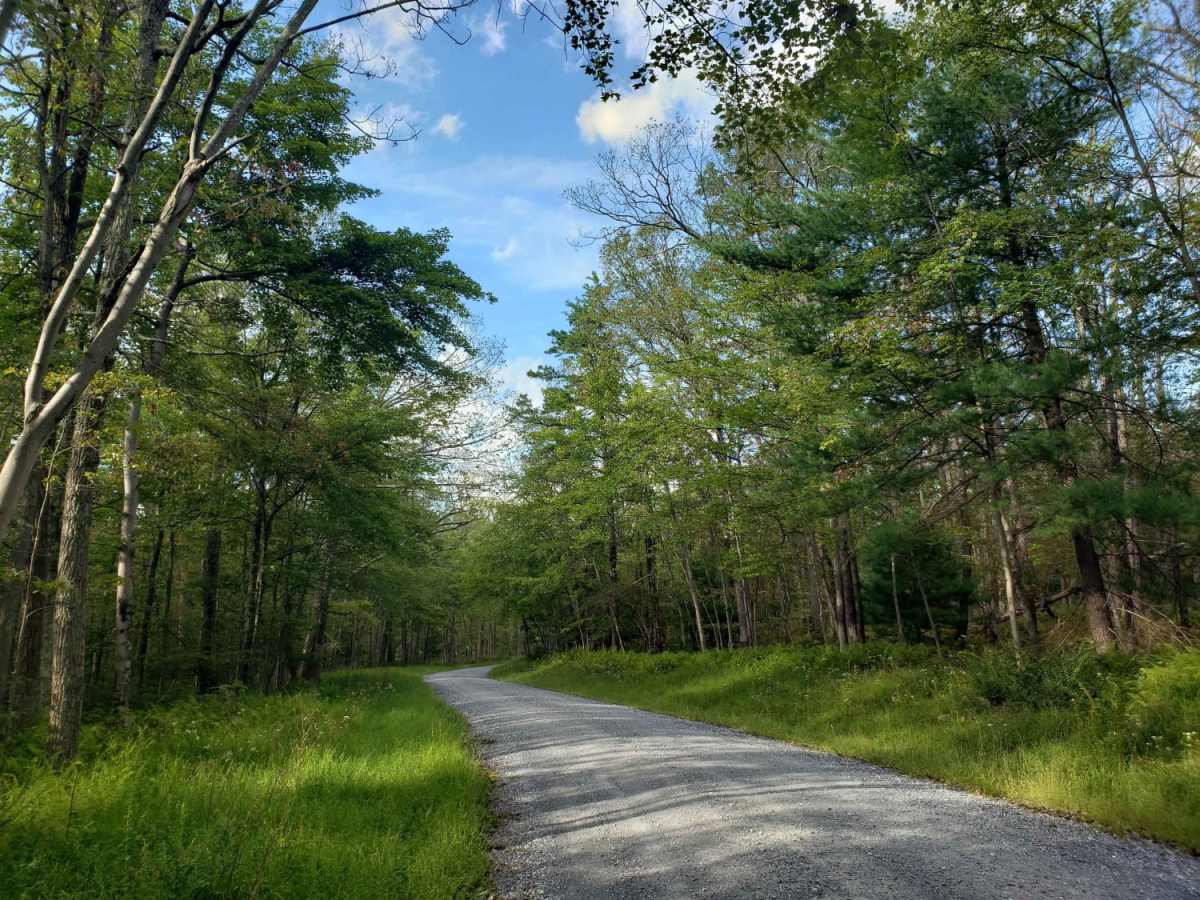 Birch Run photo 5