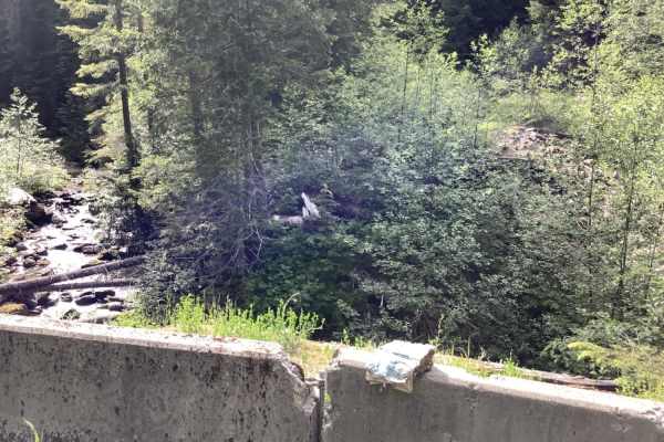 Big Creek