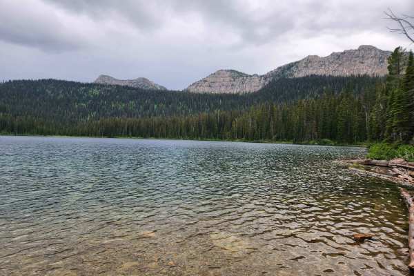 Bluebird Creek
