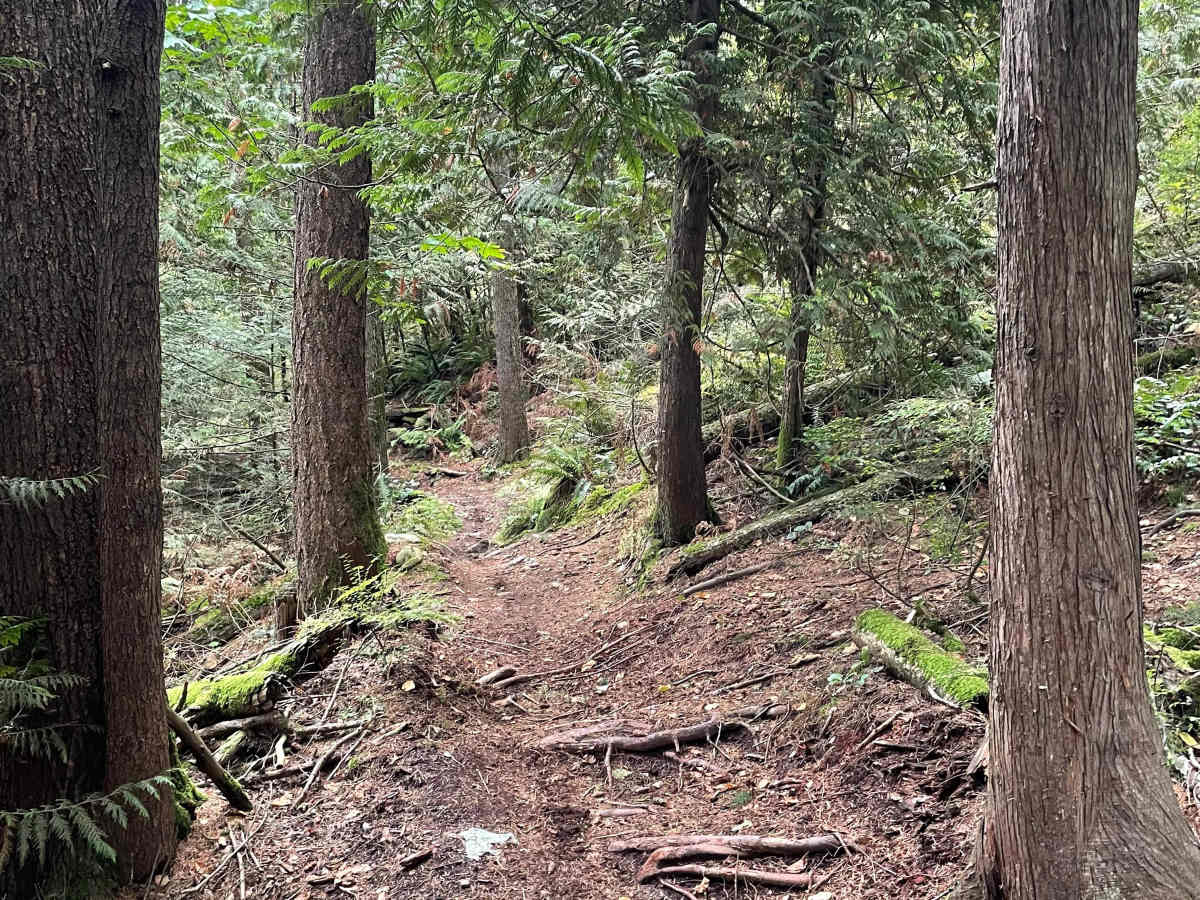Easy Line photo 3