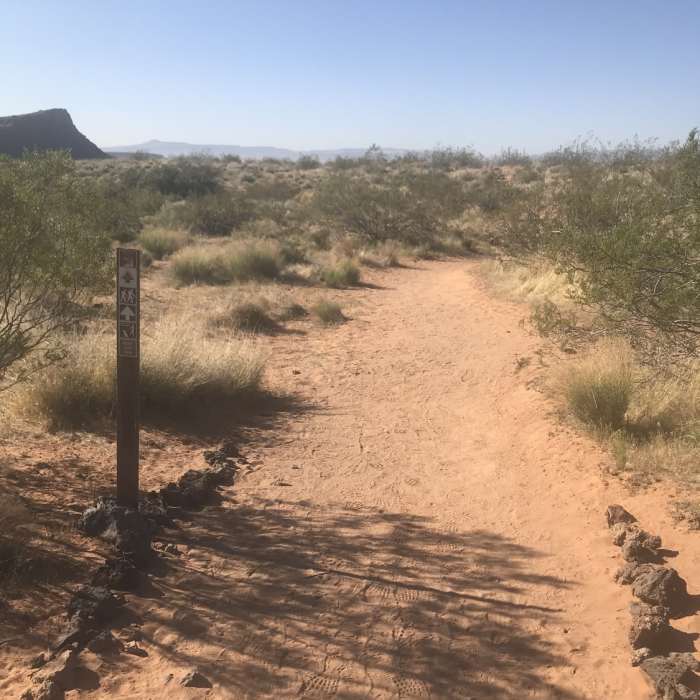 Near Scout Cave Trail