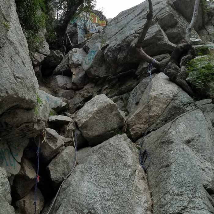 Near Hermit Falls Trail