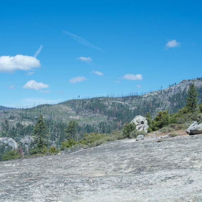 Near Turtleback Dome