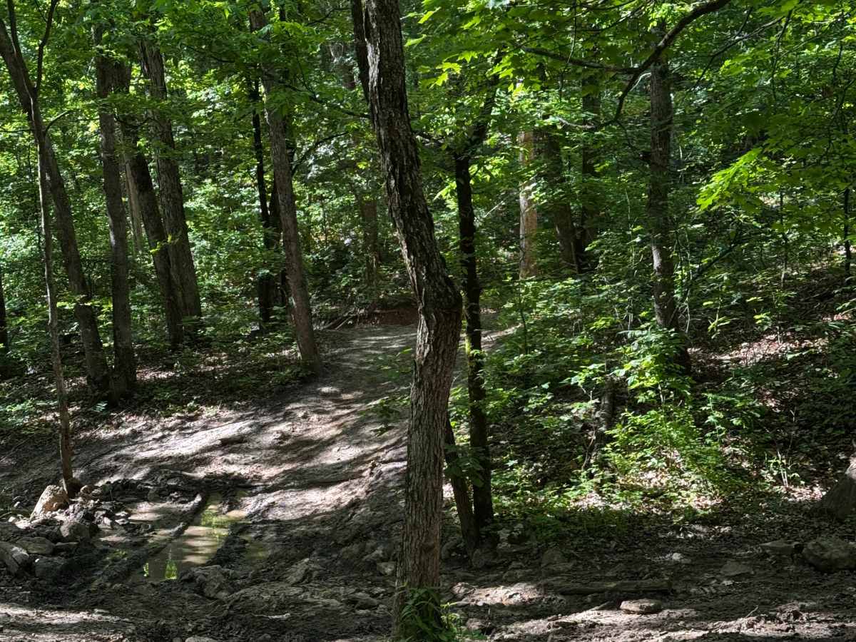 Inner Trail 15 trail photo
