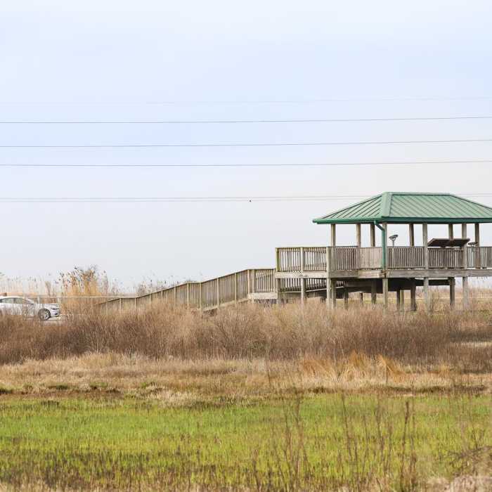 Near Blue Goose Nature Trail Near Blue Goose Nature Trail