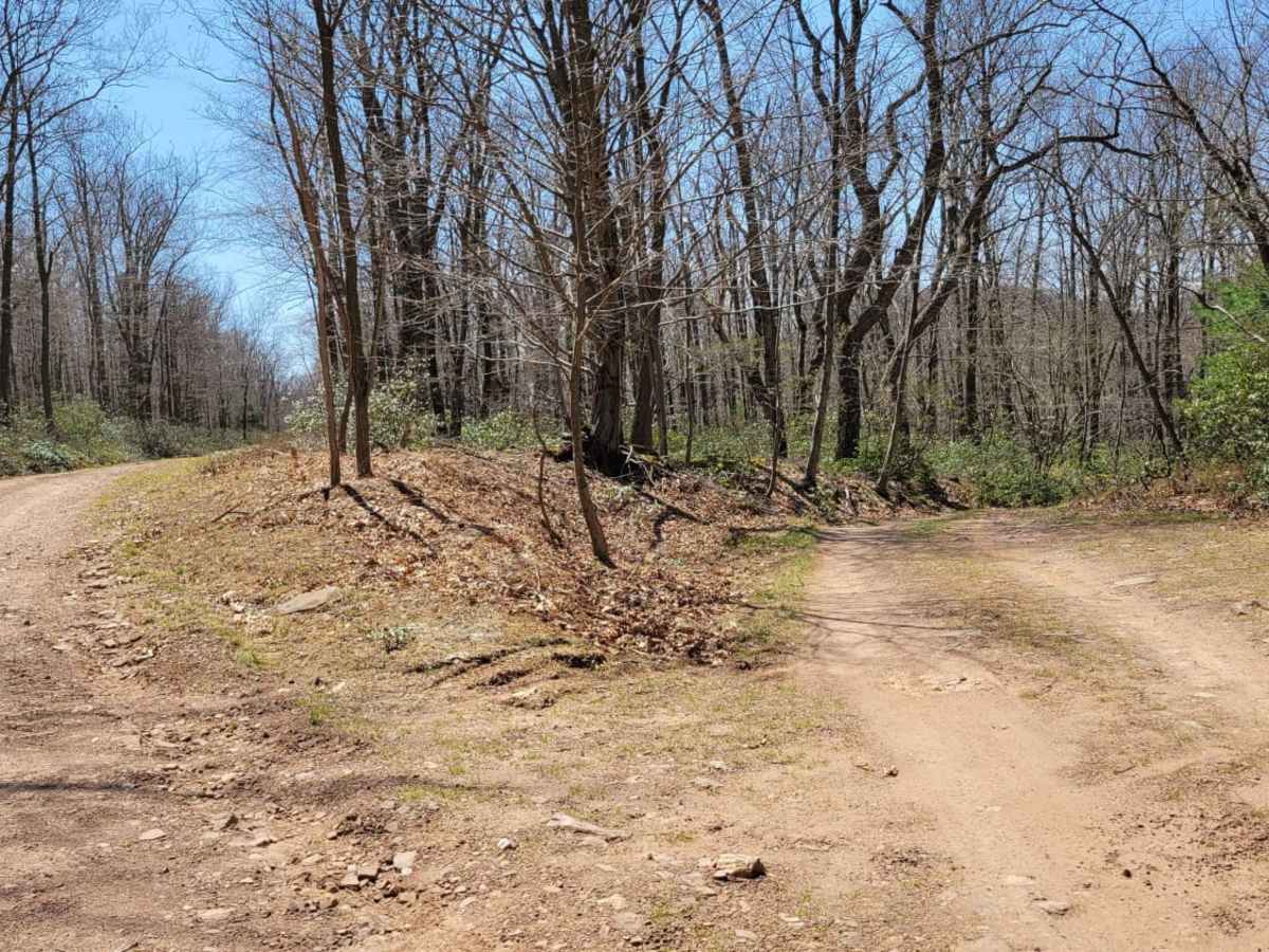 West Longfellow Trail photo 3