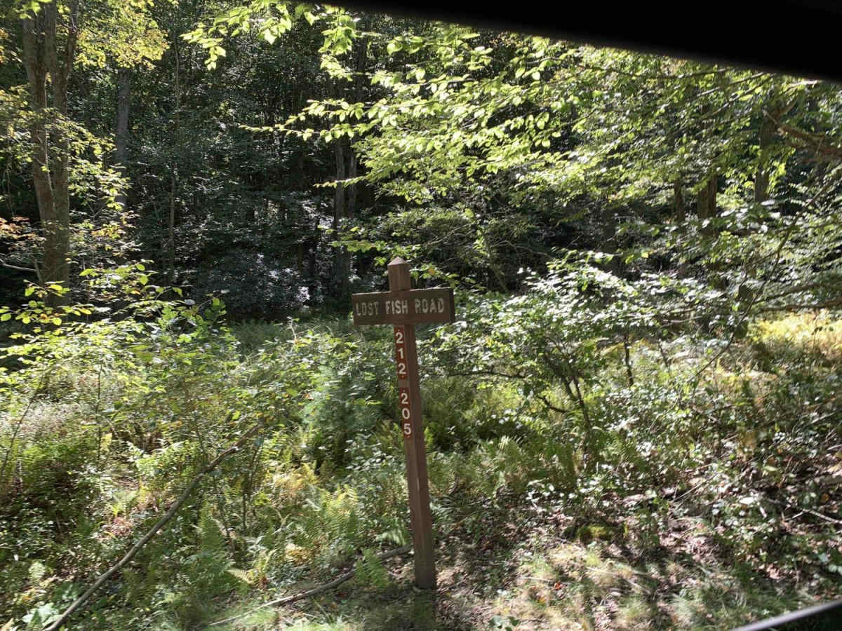 Lost Reactor Trail photo 3