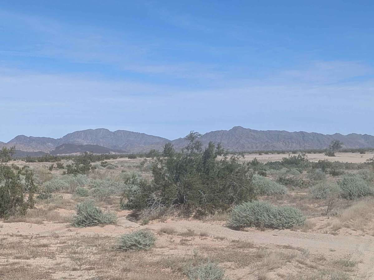 BLM 920 photo 2