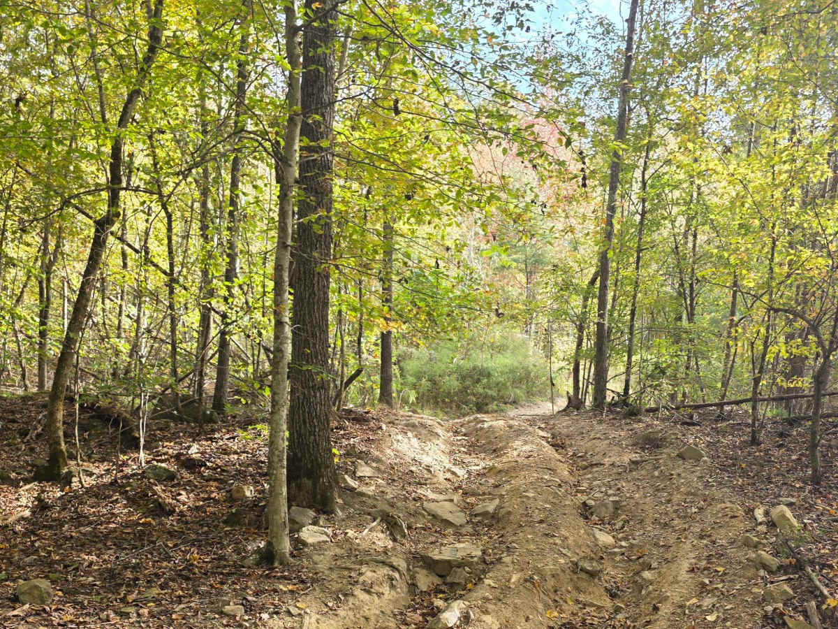 Tin Top Ridge photo 3
