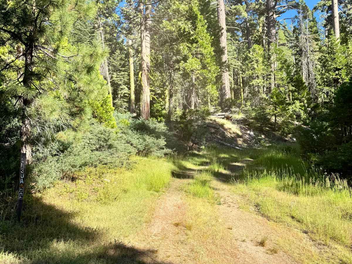 FS 5N30A trail photo