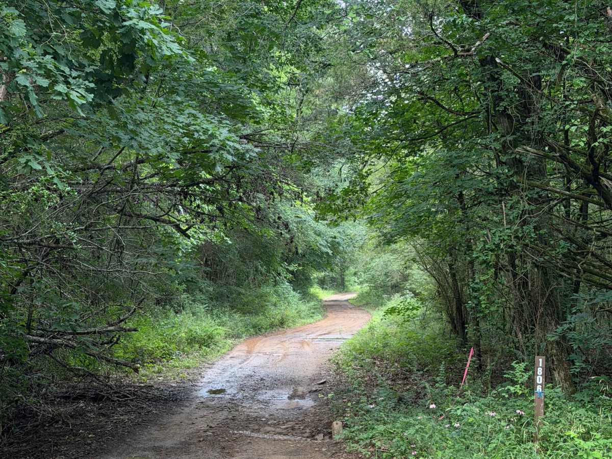 Hagar Crossing photo 2