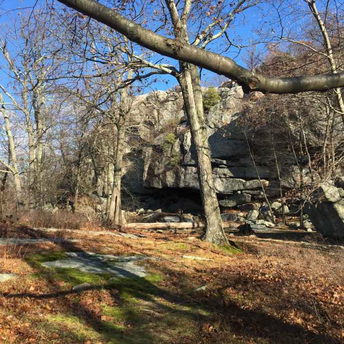 Near Dater Mountain Loop