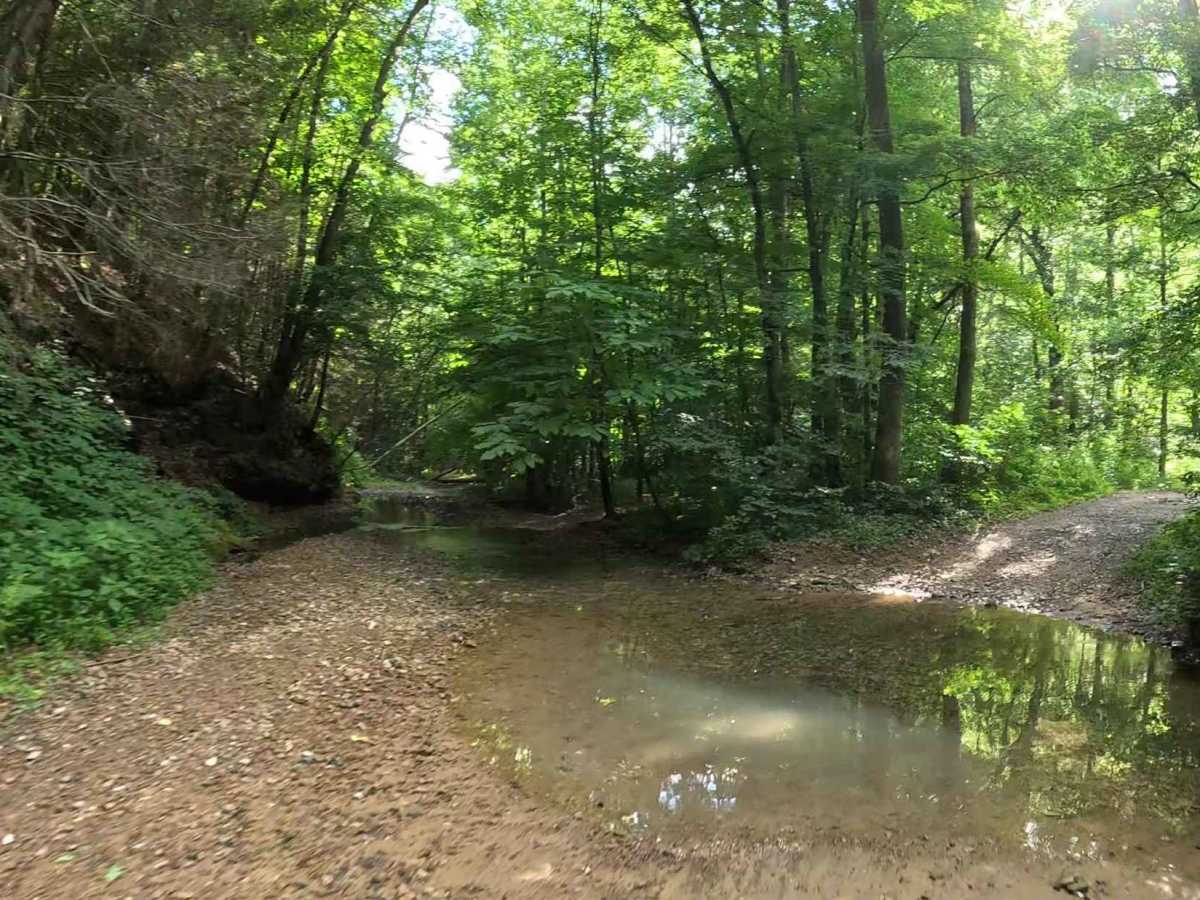 W3A trail photo