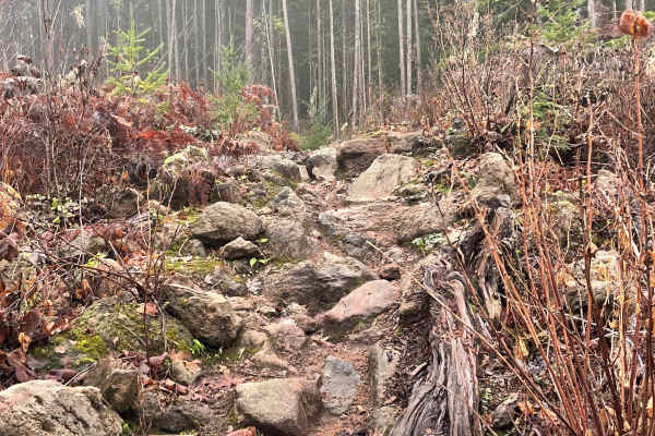 No Limits