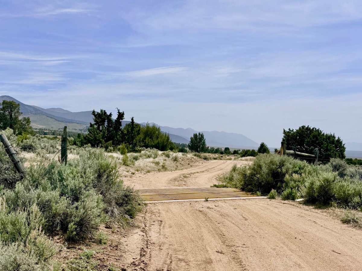 Apex Mine Alternate FS43238 photo 6