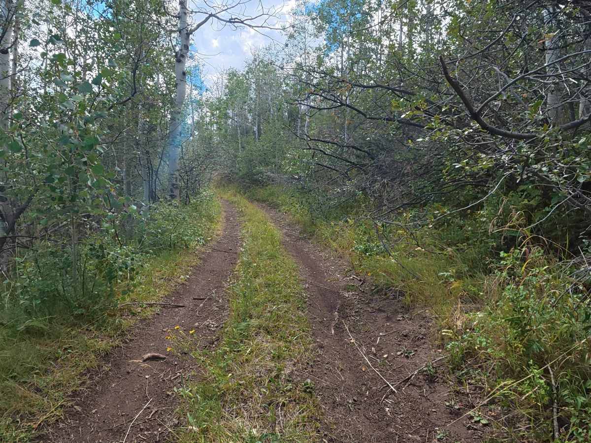 Middle Rifle Road - FS 837 photo 2