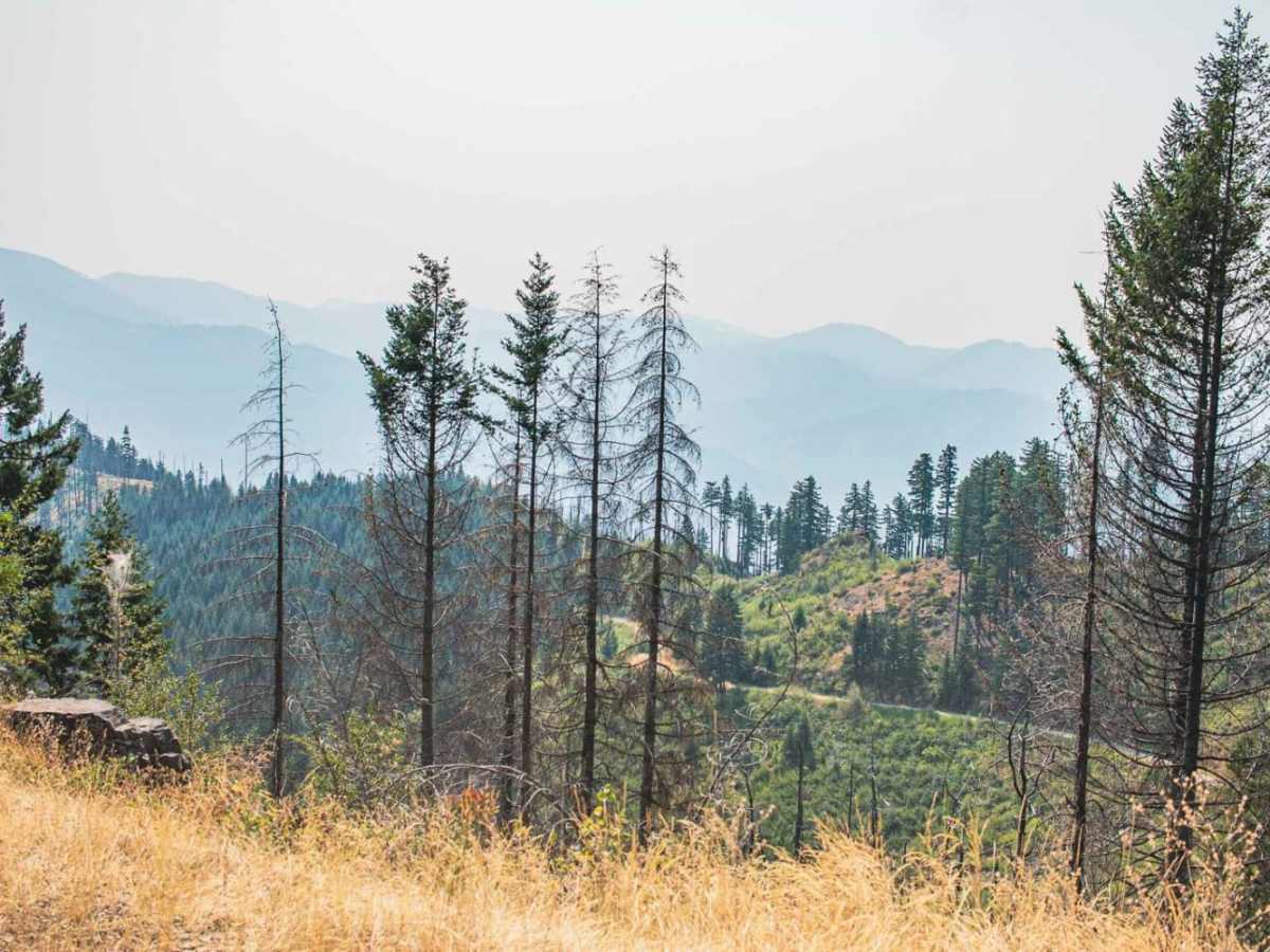 Grassy Ranch - Single Creek photo 2