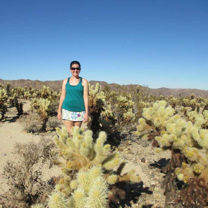 Near Cholla Cactus Garden Trail