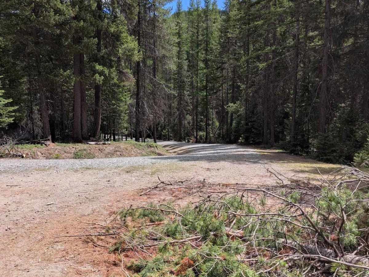 Sarsapkin Road trail photo