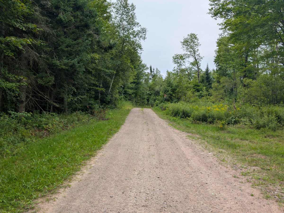 Goldmine Road photo 2