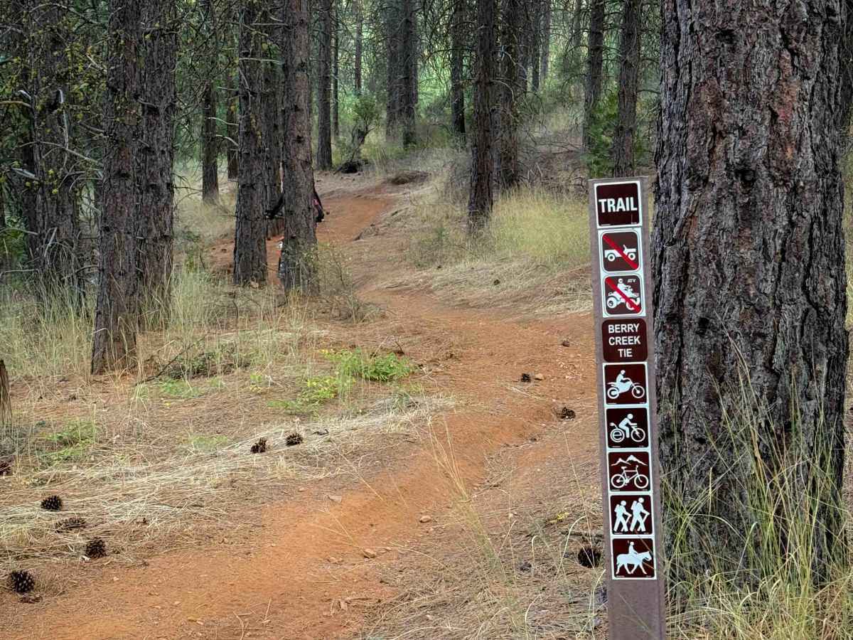 Berry Creek Tie  trail photo