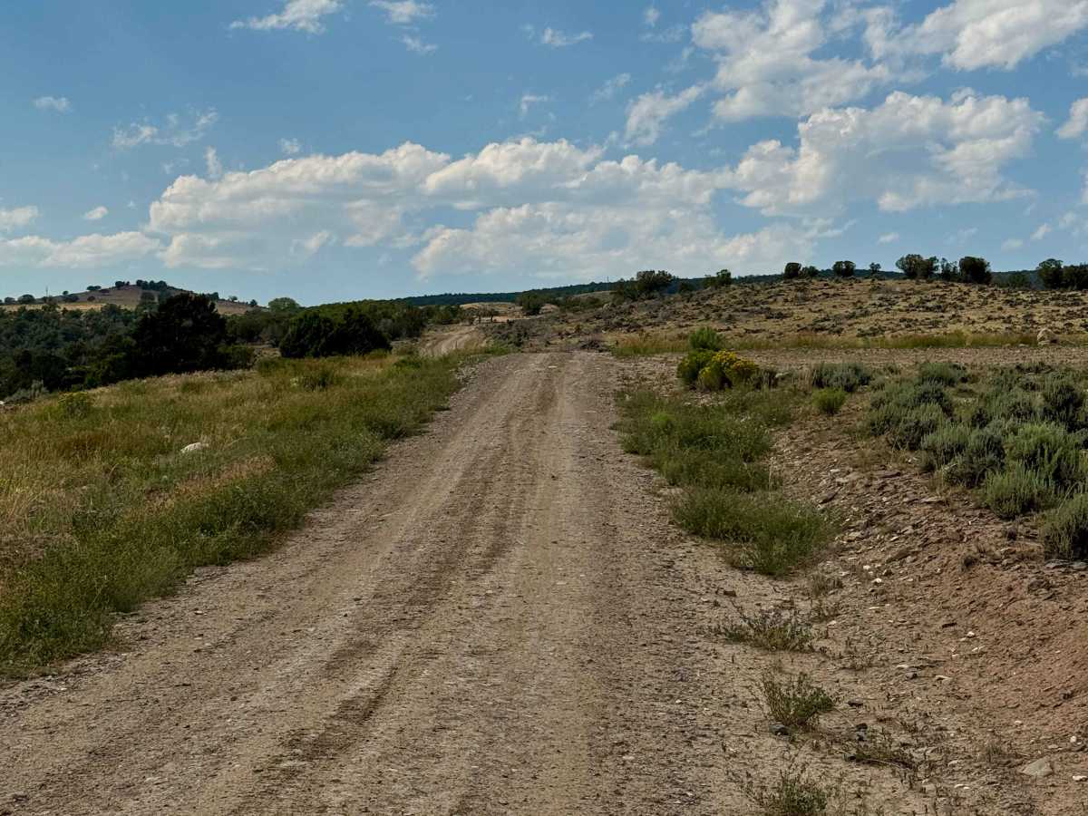 BLM 8569 photo 2