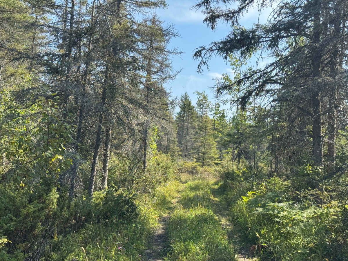 Rimrock Camp Road photo 2