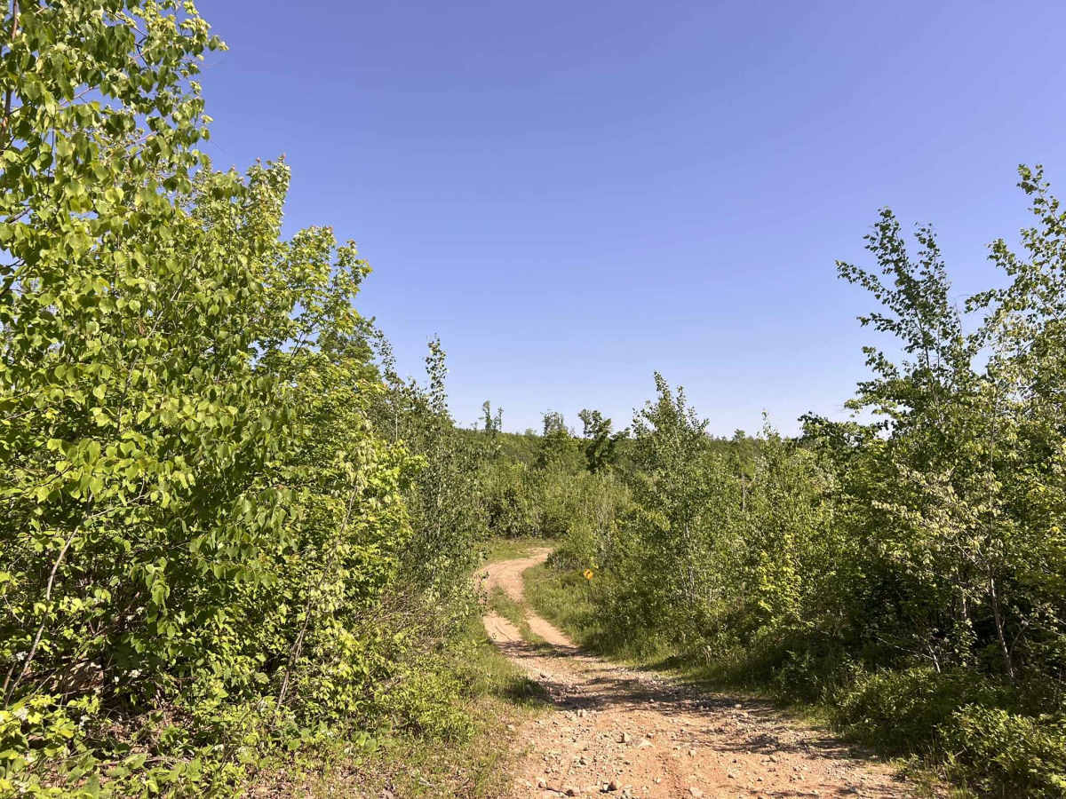 FS 2336BA/AAA photo 6
