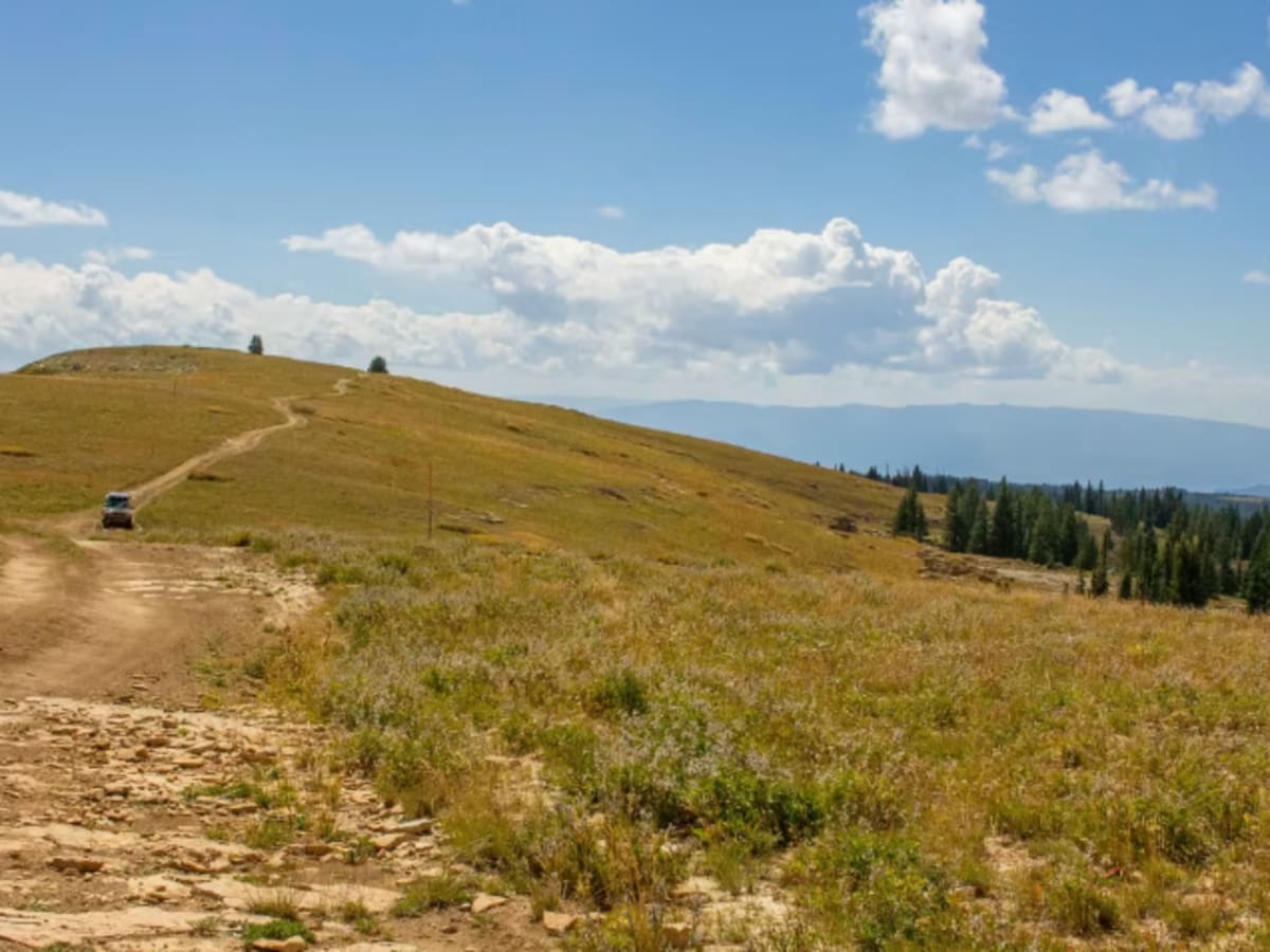 Blair Mountain - FR601 photo 4