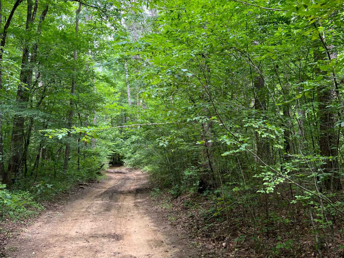 Murray creek photo 2