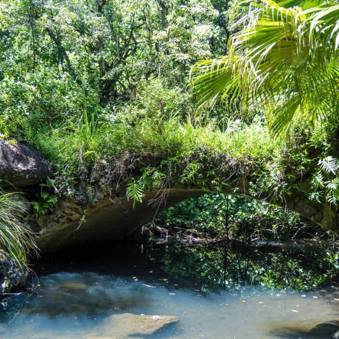 Near Kamananui Valley Road Near Kamananui Valley Road