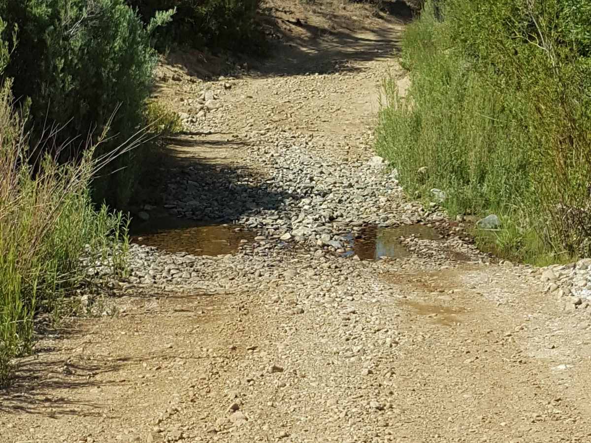 Halfmoon OHV Trail - FS 20W07 photo 2