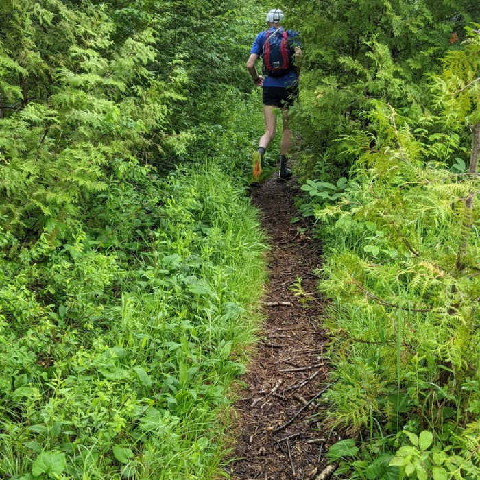 Before the steep parts Near Allen Mountain Out-and-Back