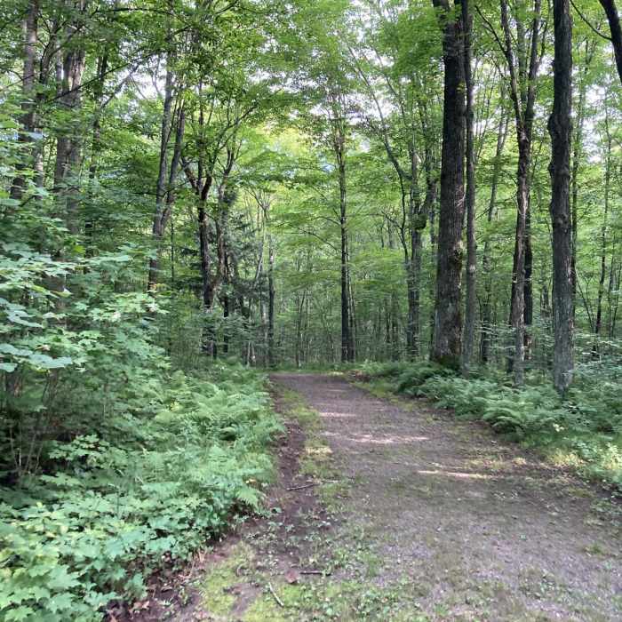 Near Little Falls-Slough Gundy Scenic Area Trail Near Little Falls-Slough Gundy Scenic Area Trail
