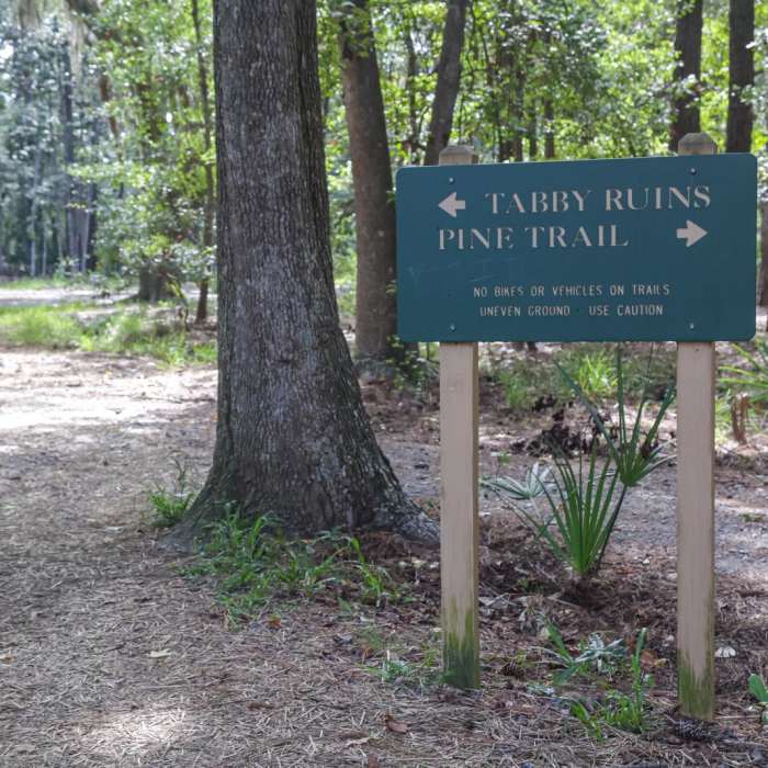 Near Pine Trail Loop / Tabby Ruins Site