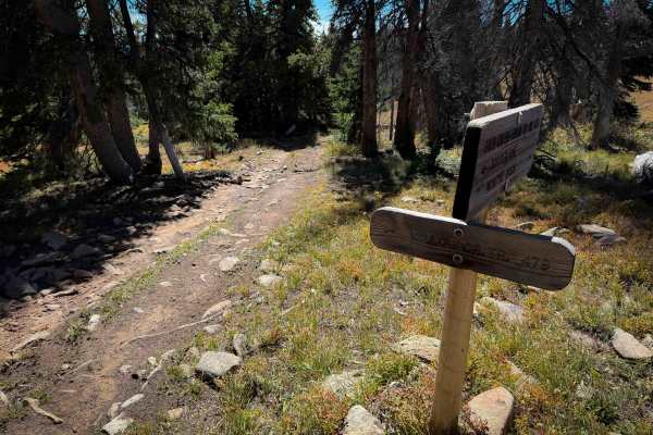 Willow Creek Trail - FS 479 