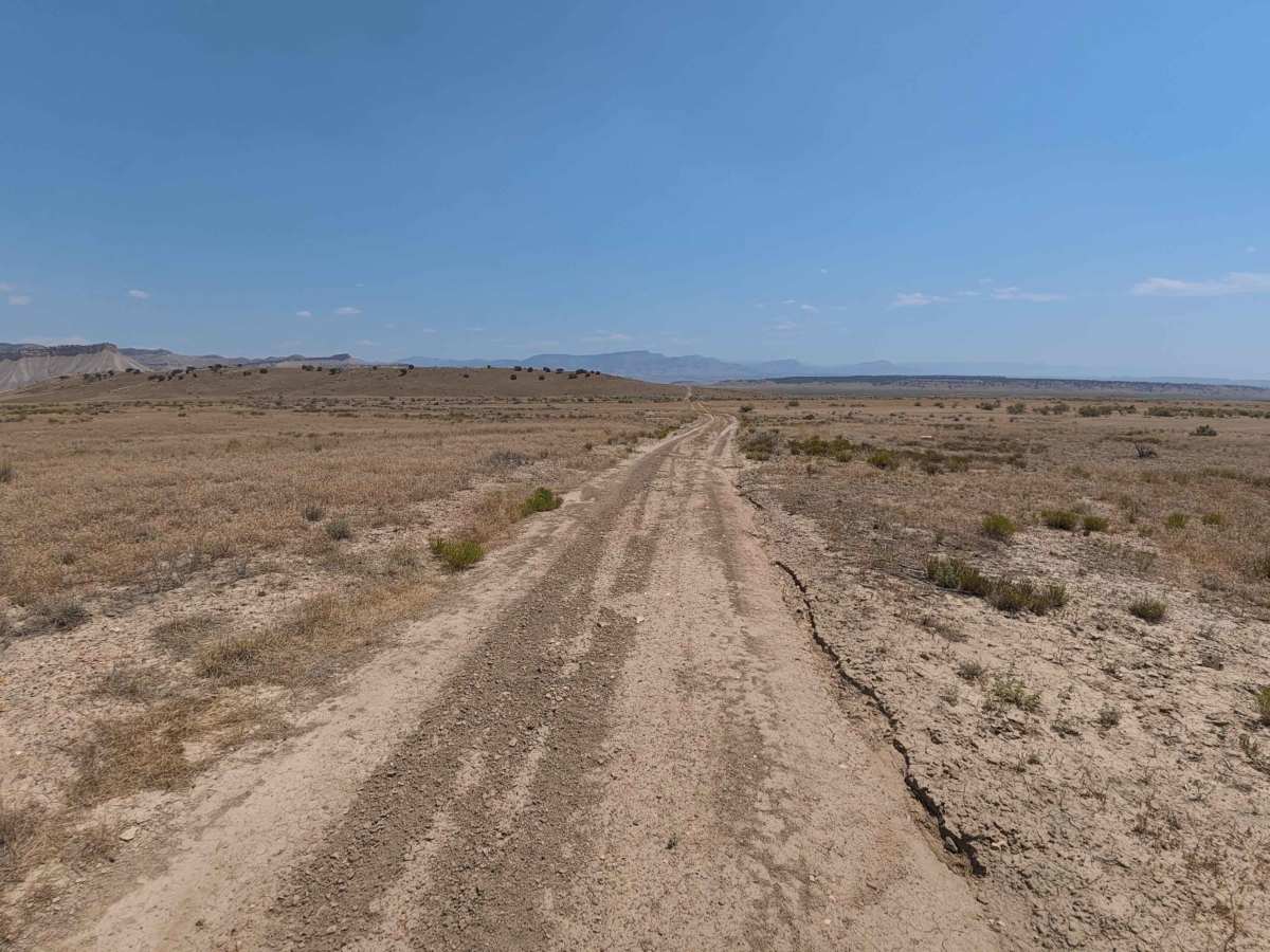 BLM 128 photo 6