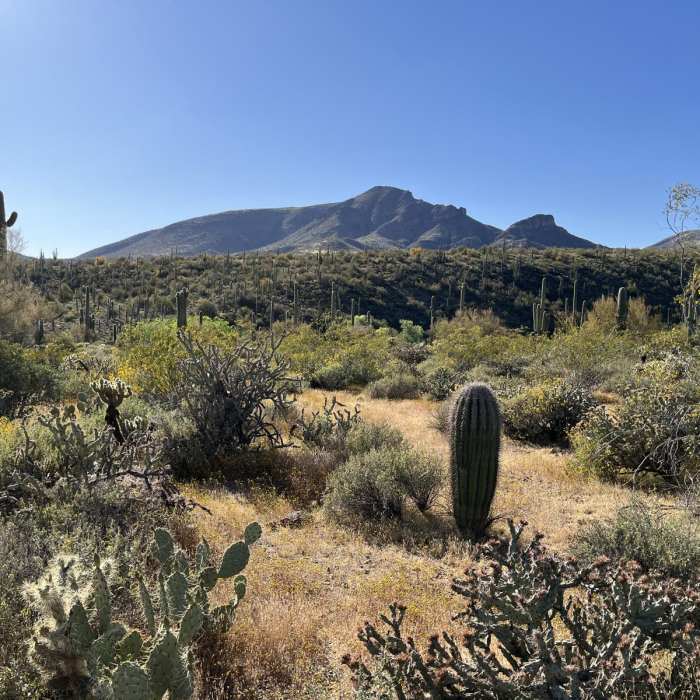 Near Spur Cross - Dragonfly Loop