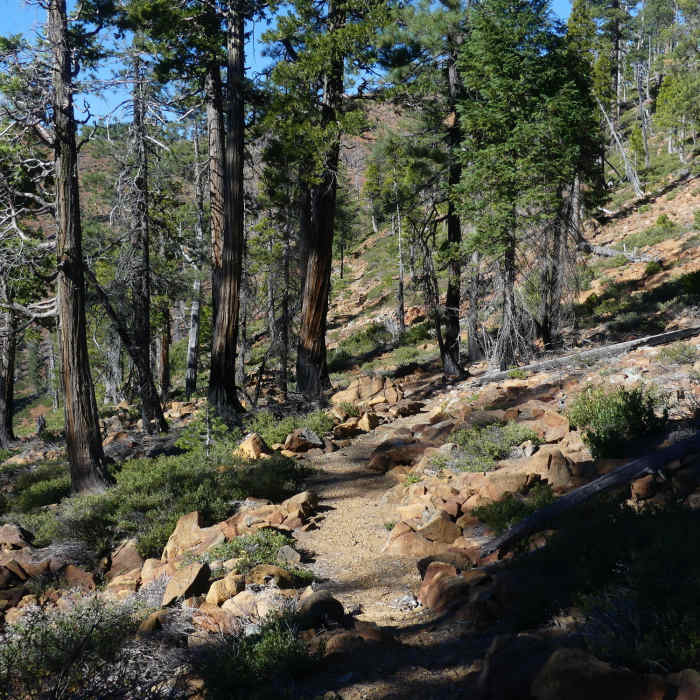 Near South Kelsey Trail